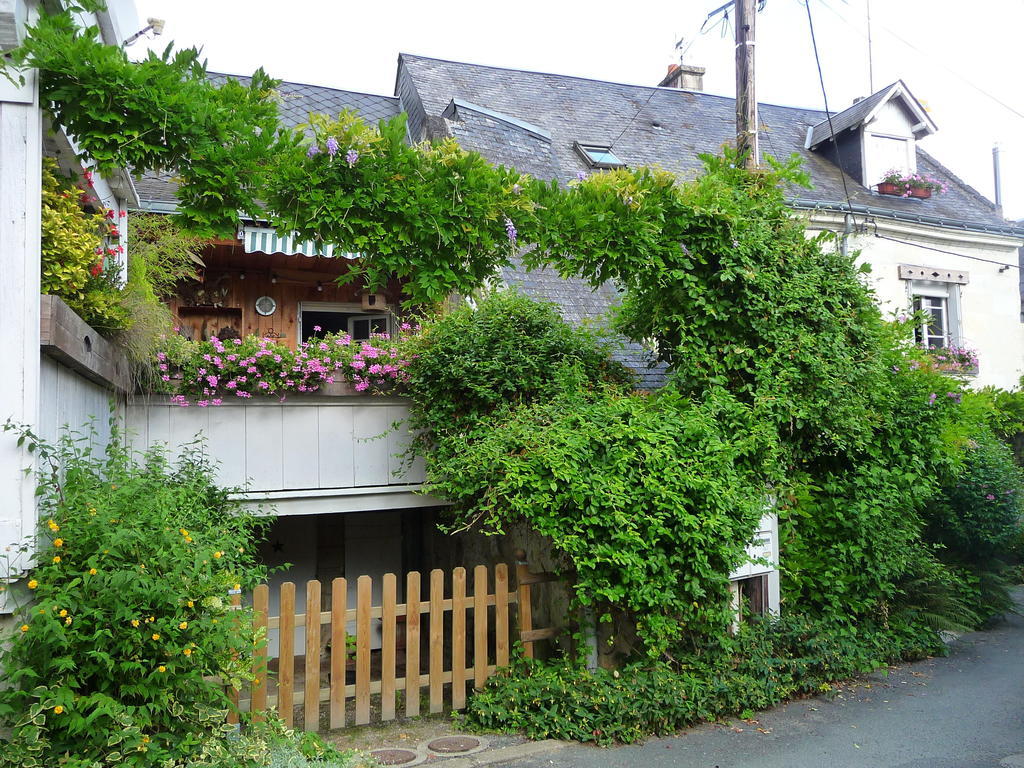 Bed and Breakfast Escale de Loire Chouzé-sur-Loire Exterior foto