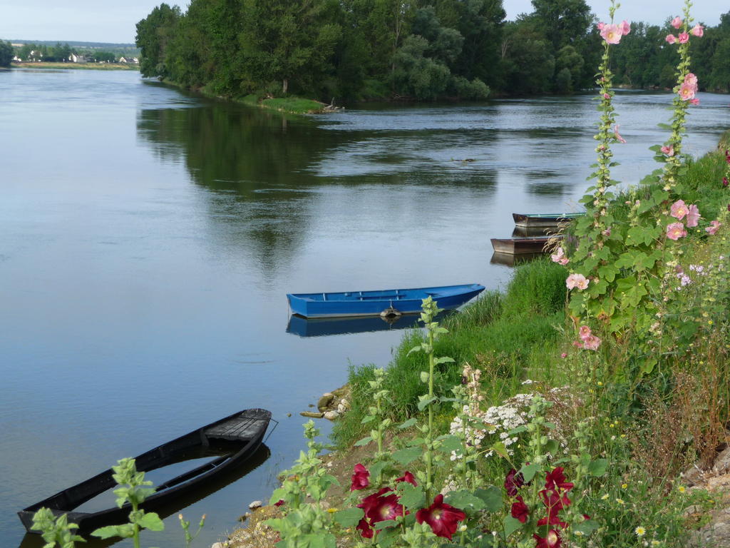 Bed and Breakfast Escale de Loire Chouzé-sur-Loire Exterior foto